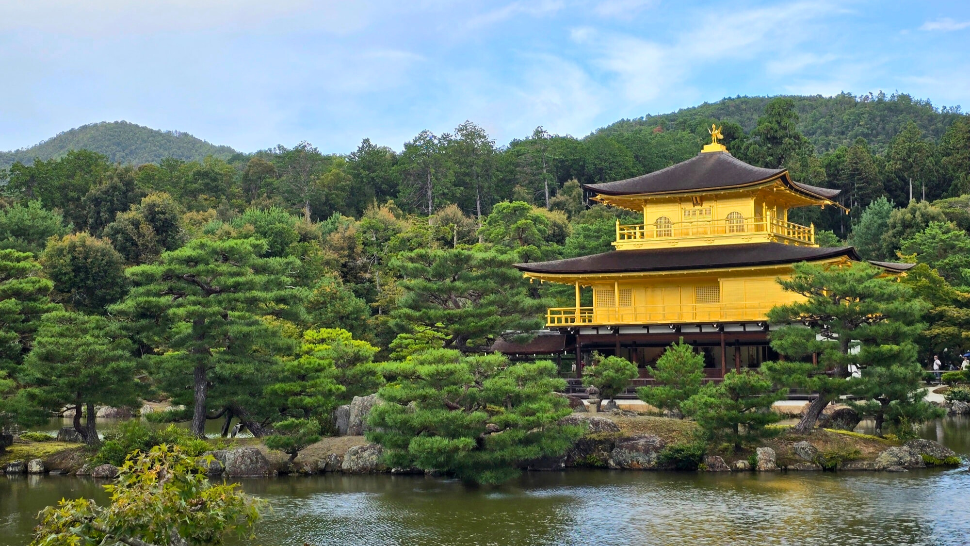 46f030c7-9fbc-4d98-a706-7f651d02288a