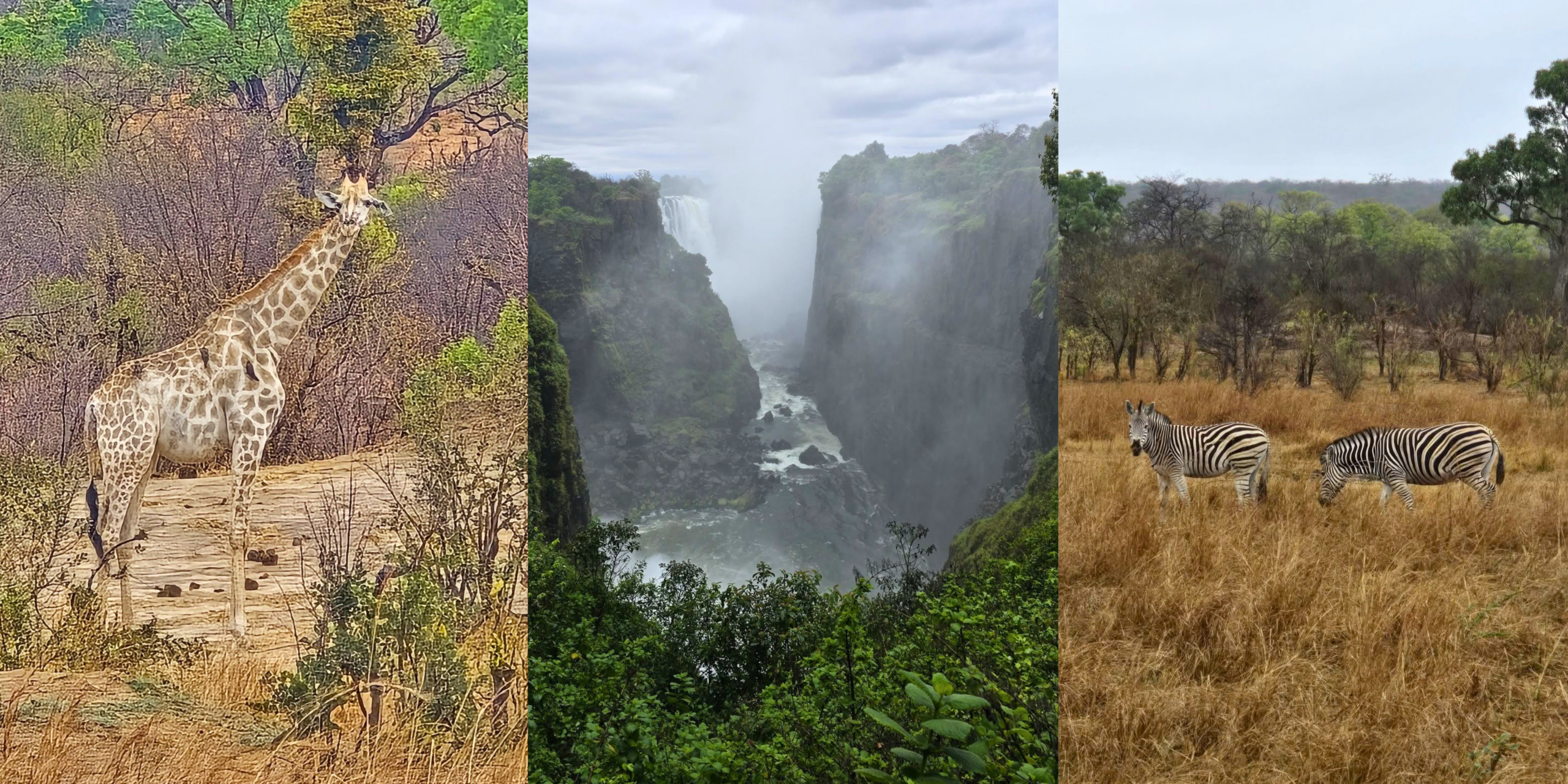 Victoria Falls